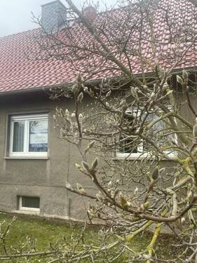 Blick vom Vorgarten - 