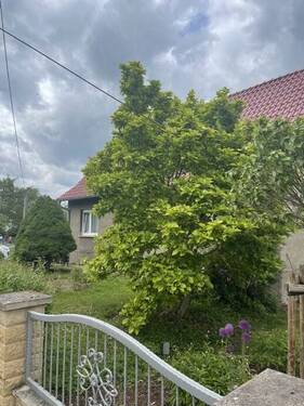 Seitenblick - 