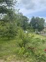 Blick in den Garten - 