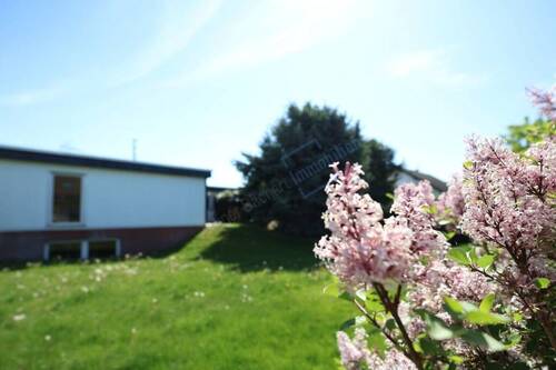 GARTENIMPRESSIONEN - 
