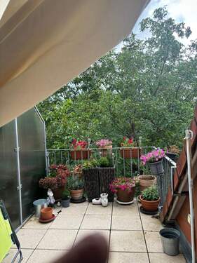 Balkon 1 vom WZ.jpg - 