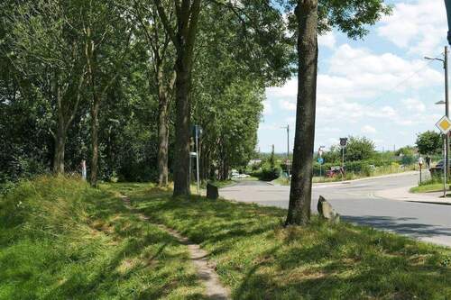 Schenkebier-Stanne - 