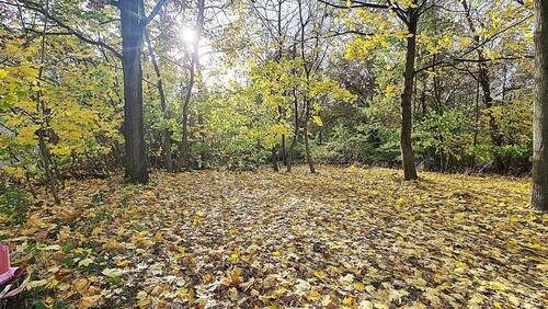 47-4.jpg - Grundstück in Schöneiche bei Berlin zum Kaufen