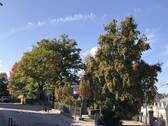 Umgebung - 