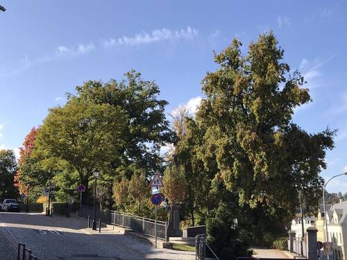 Umgebung - 