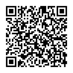 QR-Code - 
