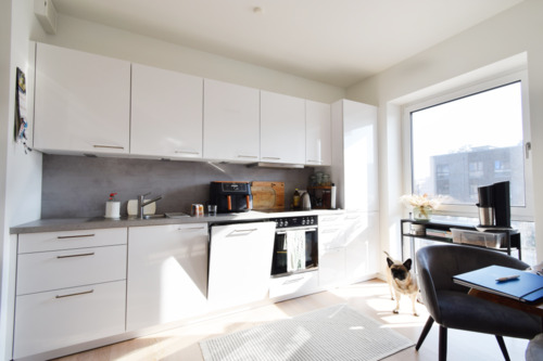 Moderne Einbauküche - 2 Zimmer Etagenwohnung in Geesthacht