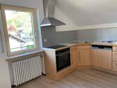 Küche mit EBK (neuer Herd, Backofen, Spülmaschine) - 