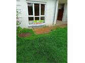 Garten - Blick zur Terrasse 2 - 
