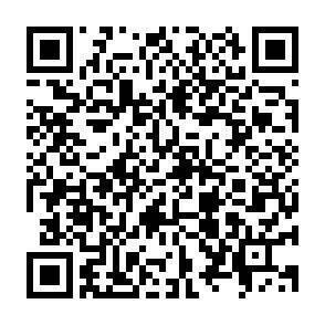 QR-Code - 