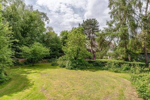 hinterer Garten zum Park hin - 
