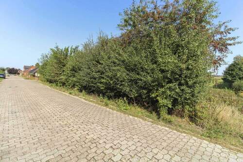 Grundstück - Erfüllen Sie sich Ihren Traum vom Neubau! Grundstück mit Feldrandlage in der Nähe des Kreidesees