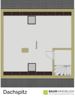 Dachspitz - 