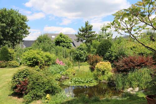 V1658 Blick in den Garten Bild 1 - 2 Zimmer Einfamilienhaus zum Kaufen in Vechta