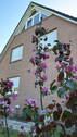 Haus - Ostseite - 