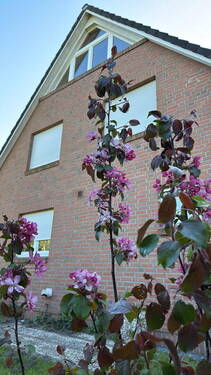 Haus - Ostseite - 