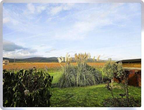 Garten Ausblick - 6 Zimmer Mehrfamilienhaus, Wohnhaus in Oestrich-Winkel