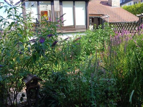 20250719_162355.jpg - 