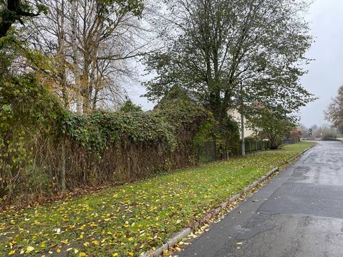 Am Keuneschen Graben 3a - Grundstück in Forst (Lausitz) zum Kaufen