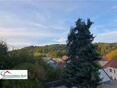 Ausblick Balkon DG - 