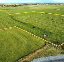 4,3 ha verpachtete Grünlandfläche in Sankt Peter-Ording