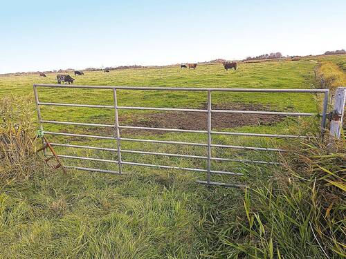 Zufahrt Brüllweg - Grundstück zum Kaufen in Sankt Peter-Ording