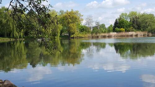 Schwanenteich Zwickau - 