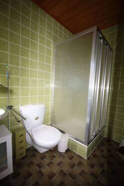 1DG: Bad / Einzimmerappartement - 