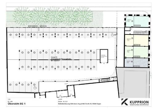 Bild10 - 