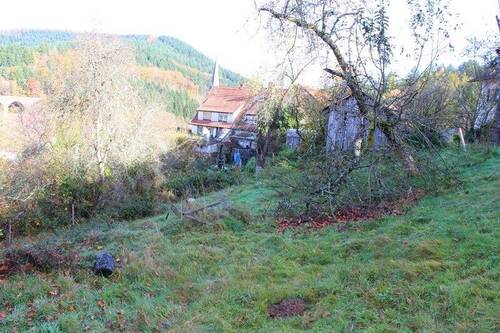 Bild II.JPG - Grundstück zum Kaufen in Eberbach