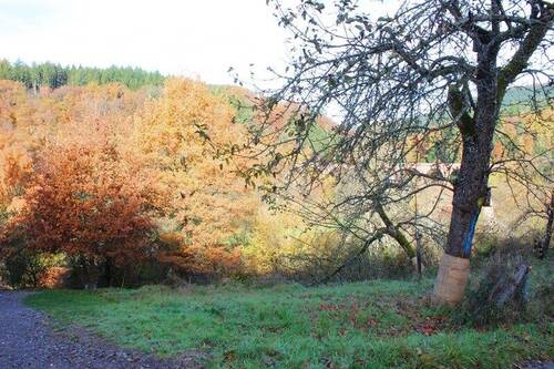 Bild III.JPG - Grundstück in Eberbach