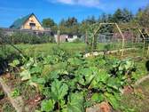 Garten zum Eigenanbau - 