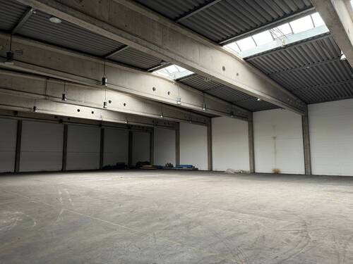 innen - Halle zur Miete in Greifswald