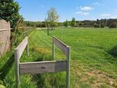 Untersuchungsstand/Weiden - 
