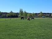 Weiden - 