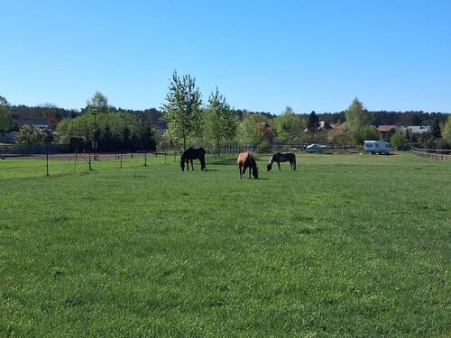 Weiden - 