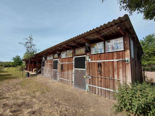 Pferdestall Gesamtansicht - 