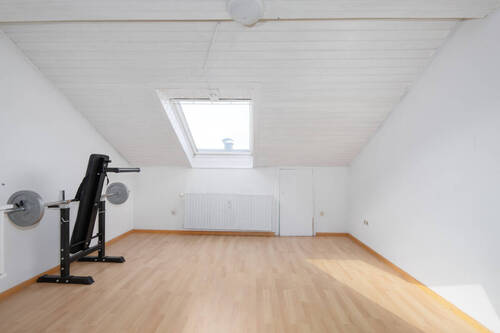 Zimmer DG 21 - 