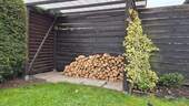 Brennholz - 5 Zimmer Einfamilienhaus in Nersingen