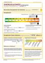 Energieausweis - 