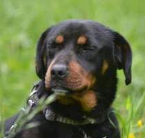 3 Zimmer Wohnung Kochel City mit Dachterrasse - Kochel am See