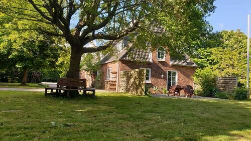 Ansicht.Terrasse.jpg - 5 Zimmer Mehrfamilienhaus, Wohnhaus zum Kaufen in Nordstrand