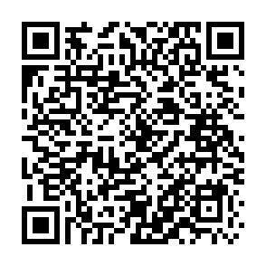 QR-Code - 