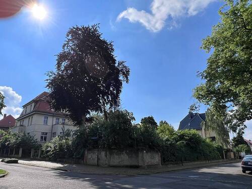 Blick auf Grundstück.JPG - Grundstück für 2 Stadthäuser für 2-6 Familien unweit des Markkleeberger Sees!