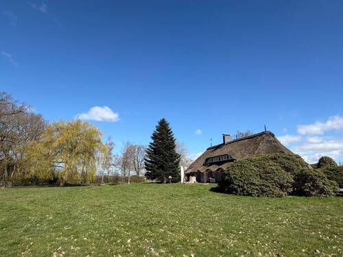 Seitenansicht - 