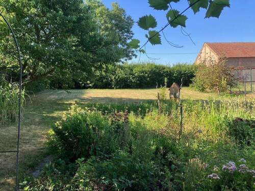 Garten - 