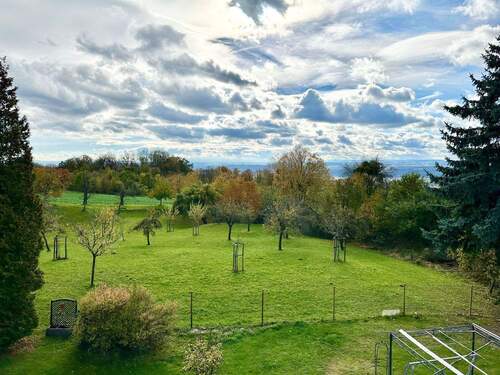 Haus liegt am Rand eines Naturschutzgebiets und an einer Streuobstwiese - 