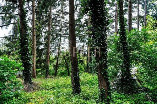 © KI Grundstück Altdorf - Grundstück in Altdorf bei Nürnberg