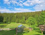 Garten 2.jpg - 