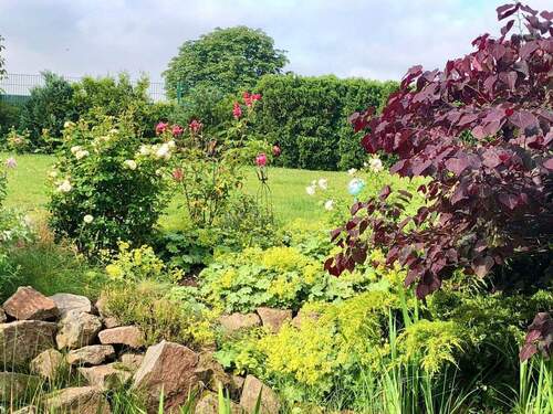 Impressionen aus dem Garten - 